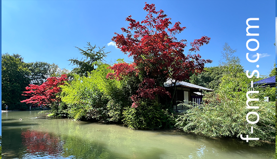 englischer-garten02