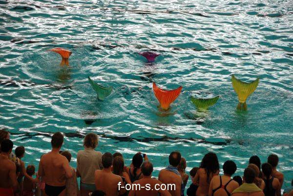 wassersportfestival11